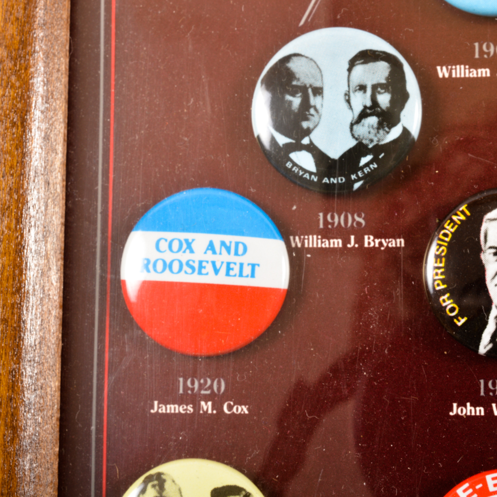Reissue 1896-1984 Democratic Presidential Campaign Collectible Pins