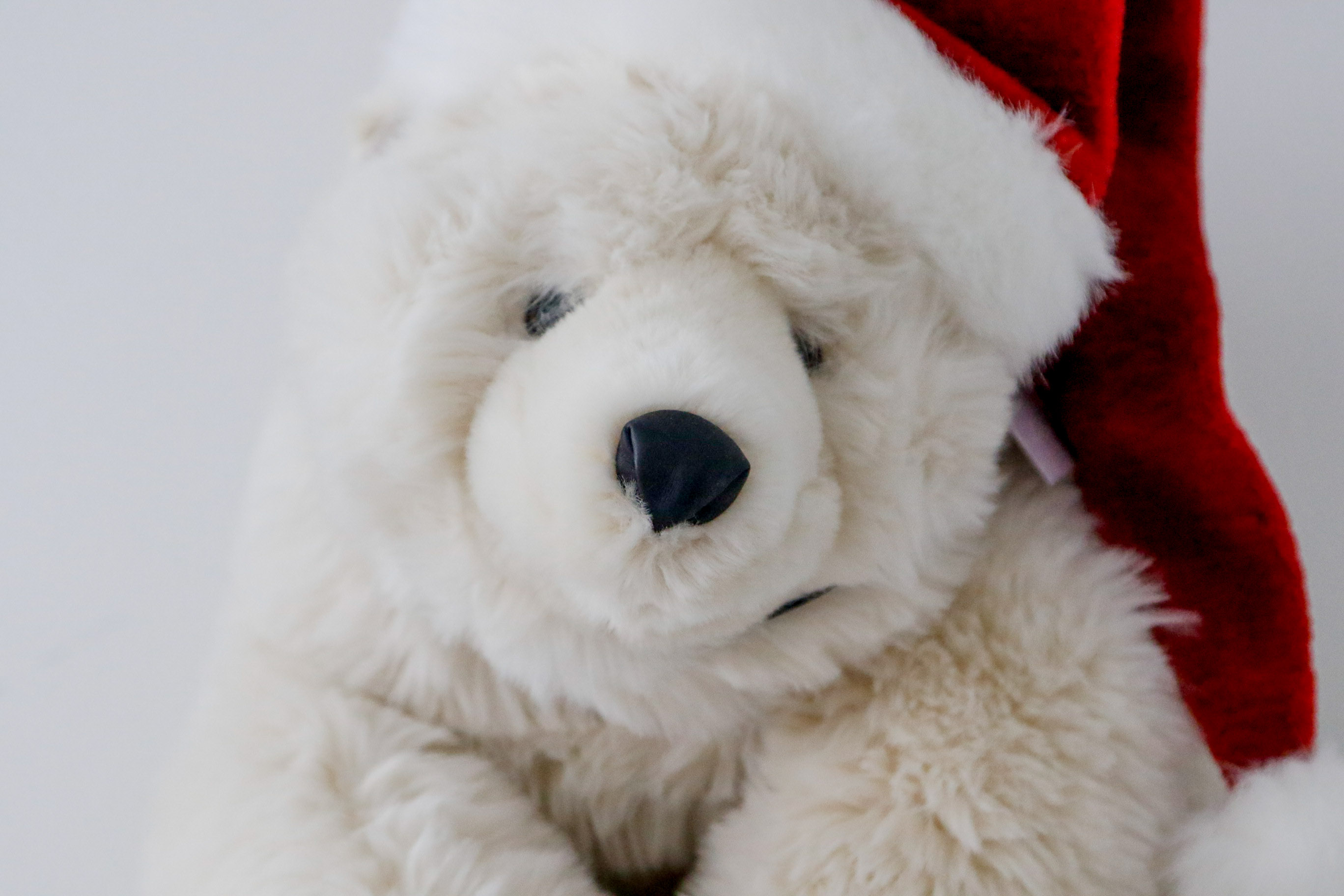 Ditz Designs Plush Stuffed Polar Bear