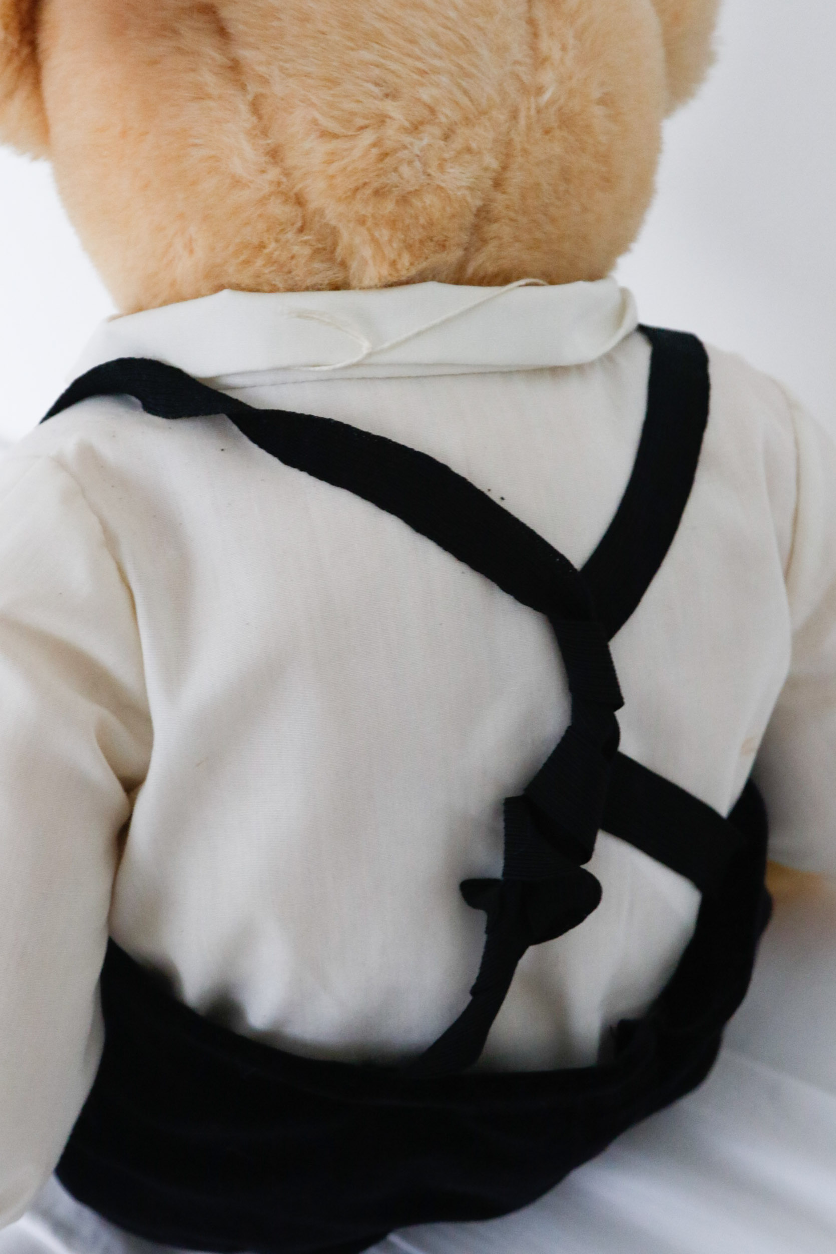 North American Bear Co. VIB Bears Alice & Cornelius Vanderbear