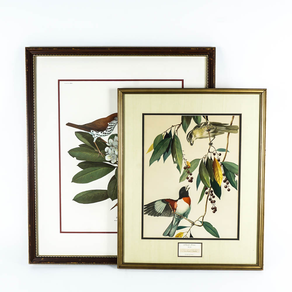 Avian Wildlife Prints Including Signed Ray Harm