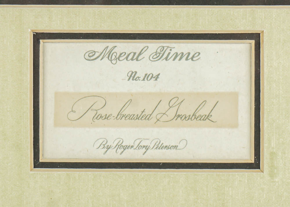 Avian Wildlife Prints Including Signed Ray Harm