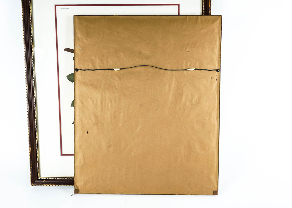 Avian Wildlife Prints Including Signed Ray Harm