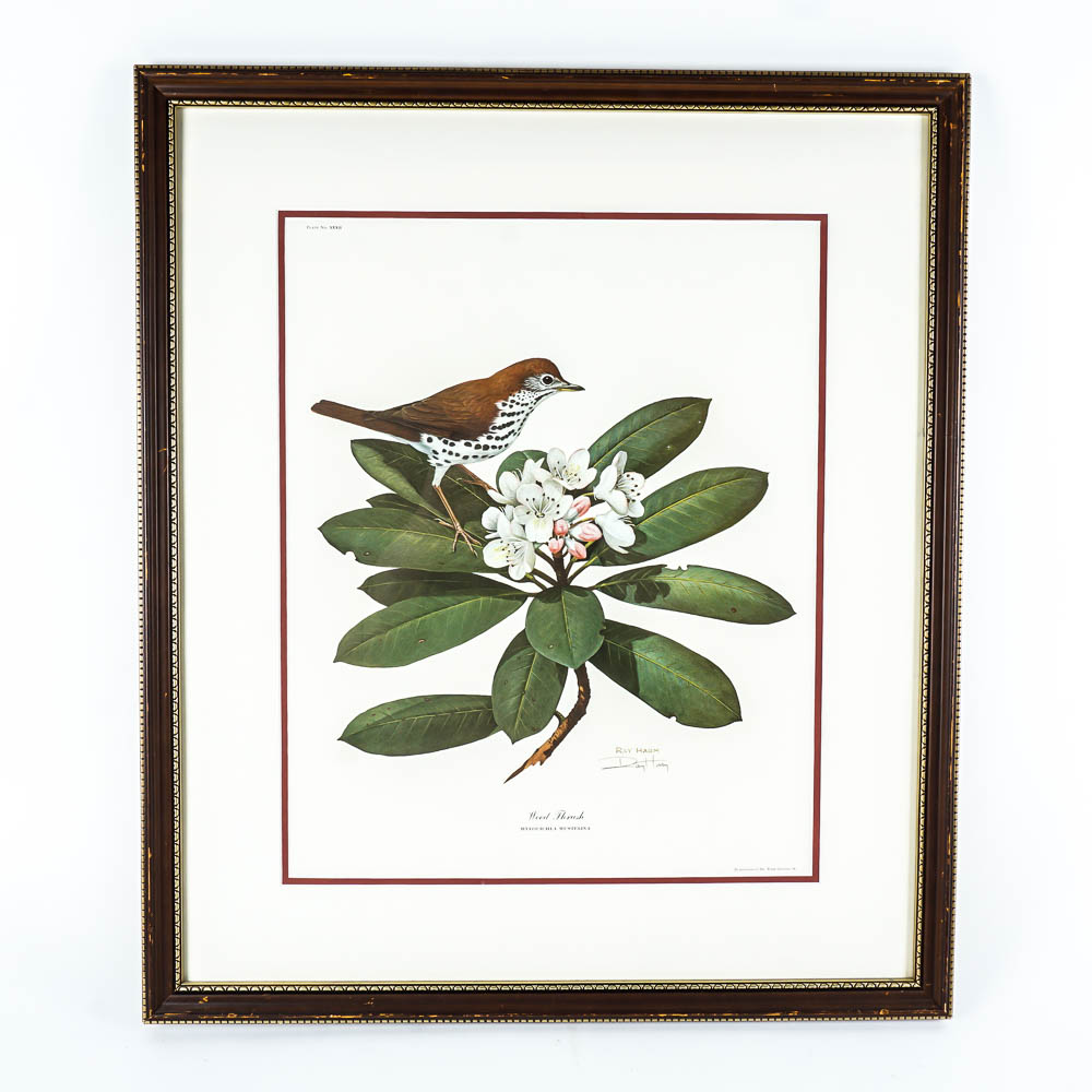 Avian Wildlife Prints Including Signed Ray Harm