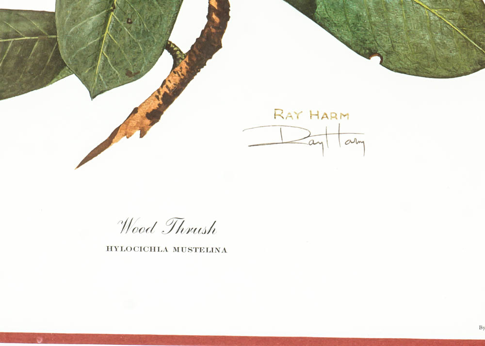 Avian Wildlife Prints Including Signed Ray Harm
