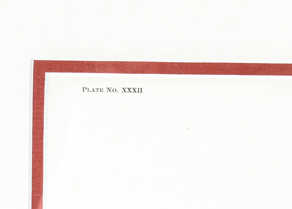 Avian Wildlife Prints Including Signed Ray Harm