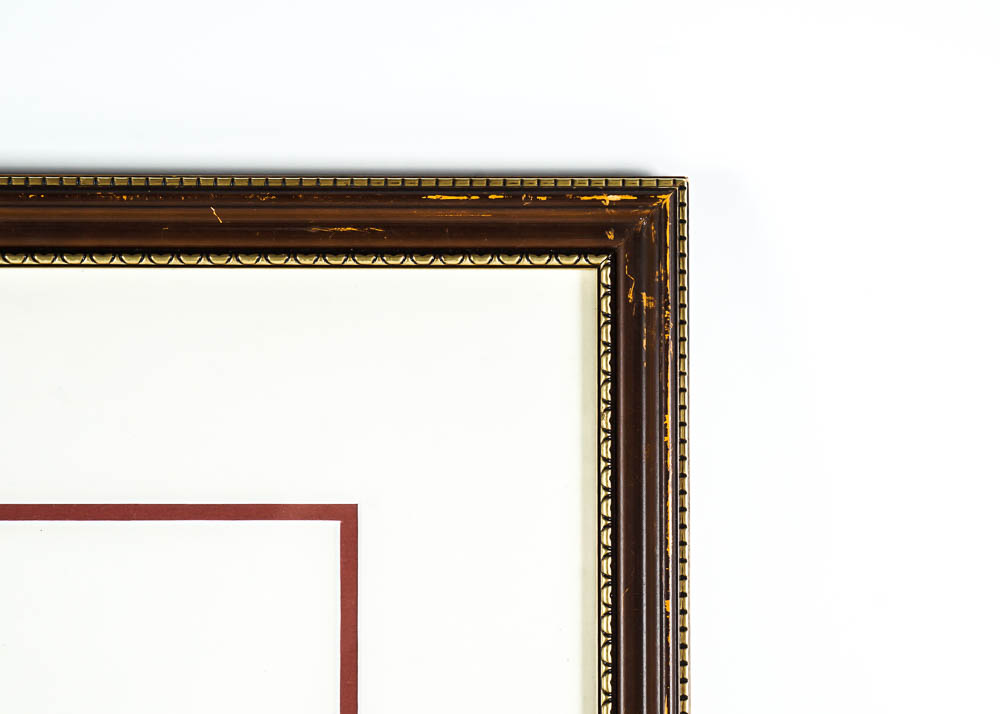 Avian Wildlife Prints Including Signed Ray Harm