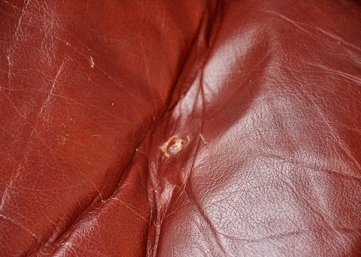 Mid-Century Modern Eames Style Lounge Chair And Ottoman By Doerner Faultless