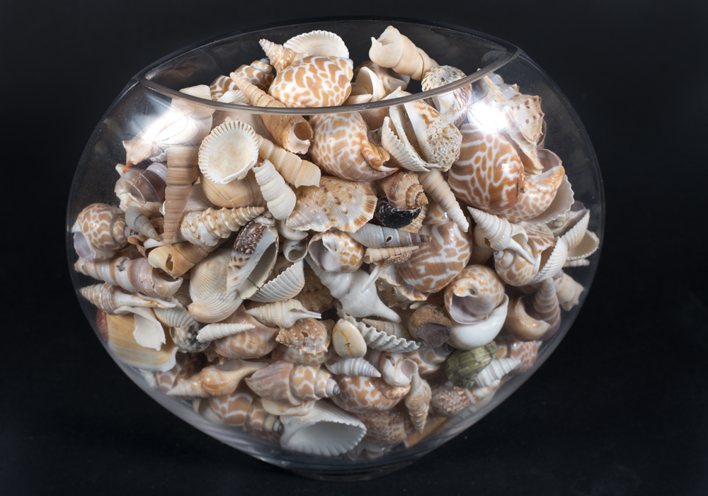 Shells and Beach Decor in Sea Grass Basket