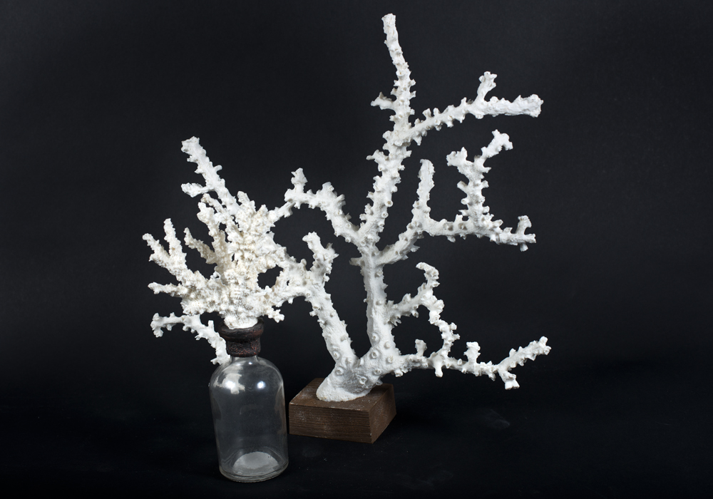 Shells and Beach Decor in Sea Grass Basket