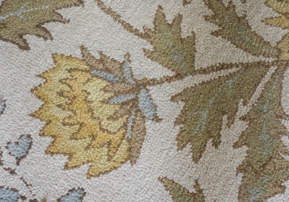 Floral Cream Toned Area Rug