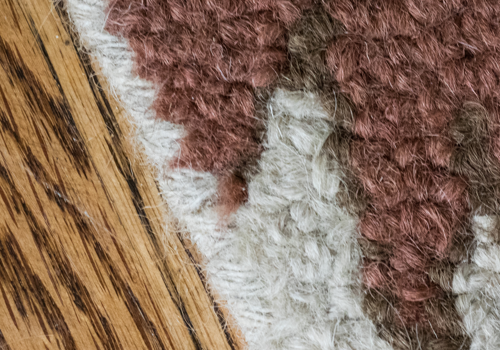 Floral Cream Toned Area Rug