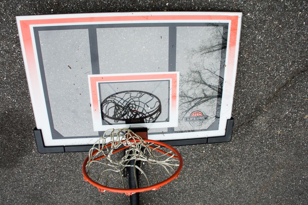 Lifetime  Basketball Hoop