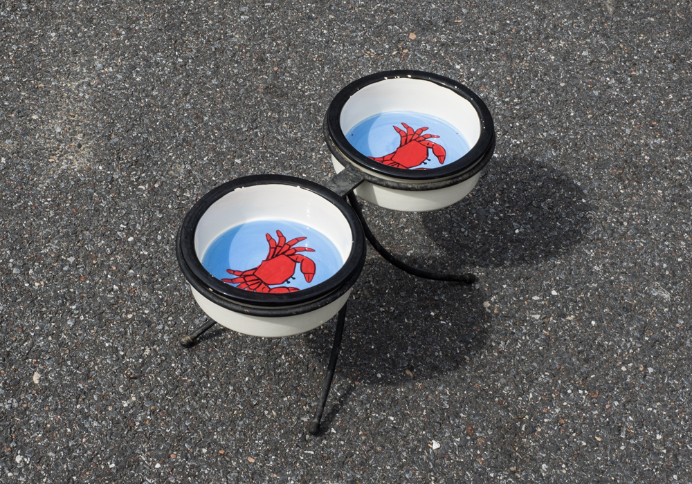 Nautical Themed Dog Food Bowls in Stands