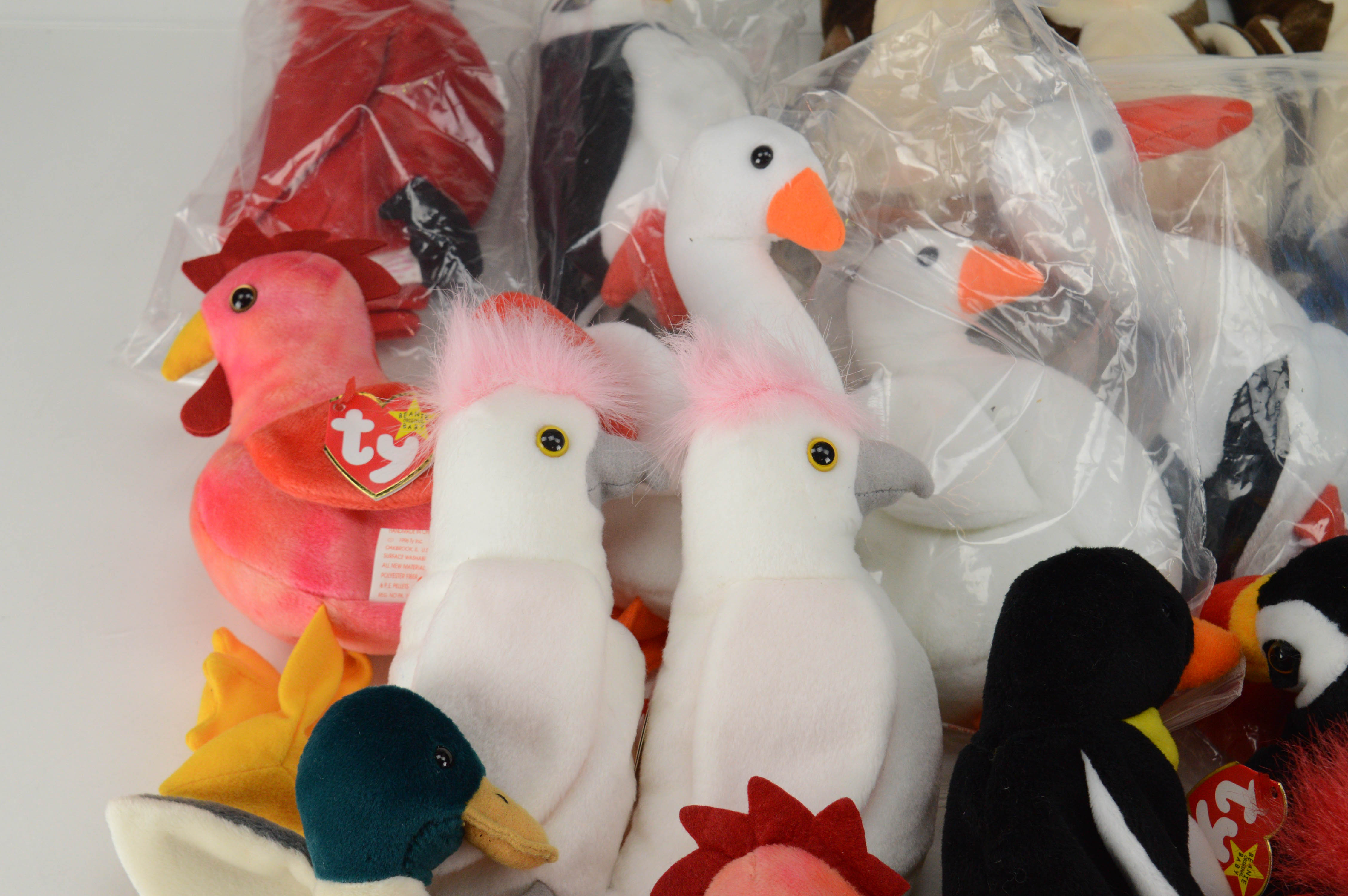Beanie Baby Birds