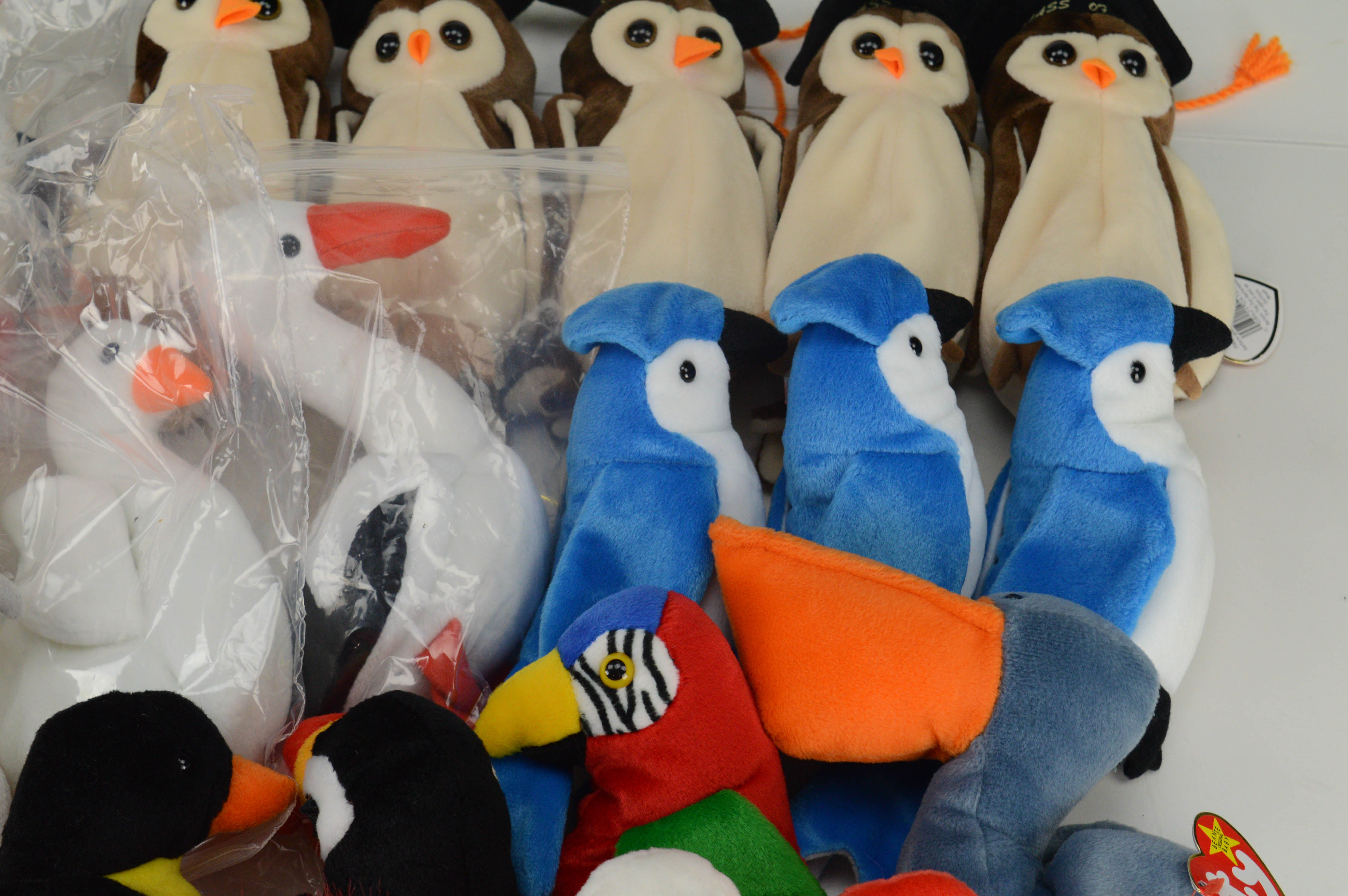 Beanie Baby Birds