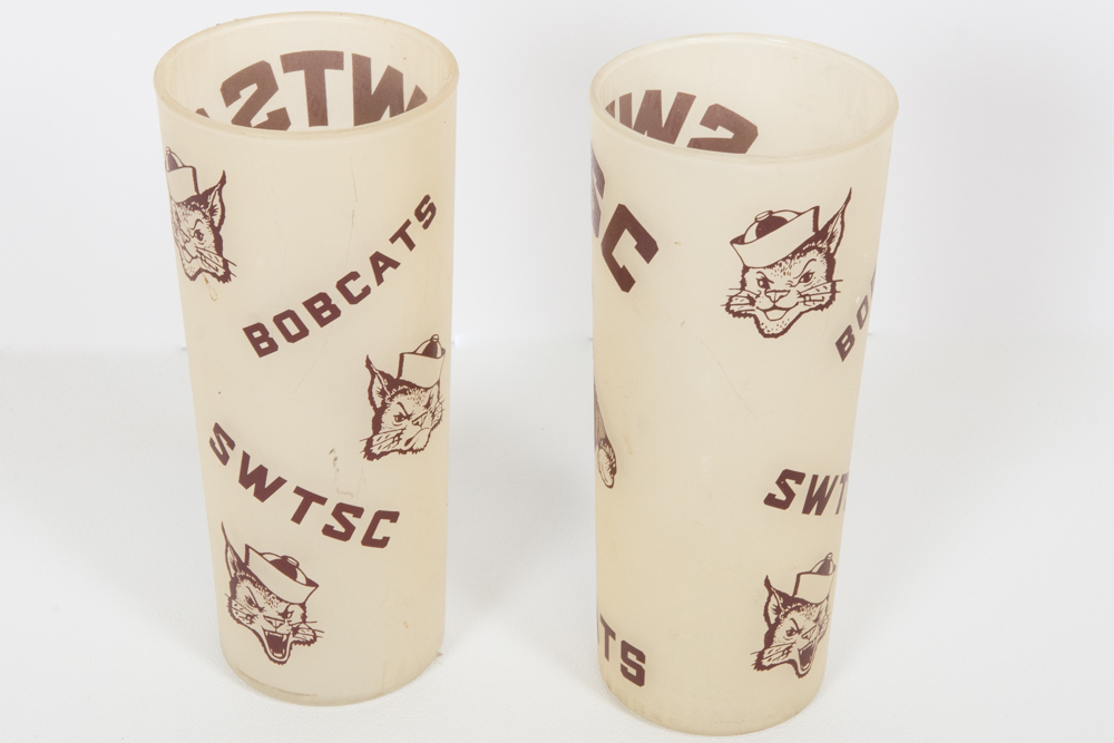 Vintage Texas State and San Marcos Themed Glassware