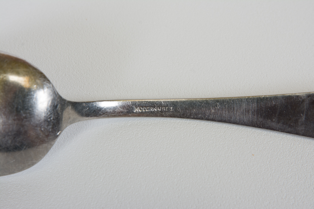 Stainless Steel Silverware with Drawer Organizer