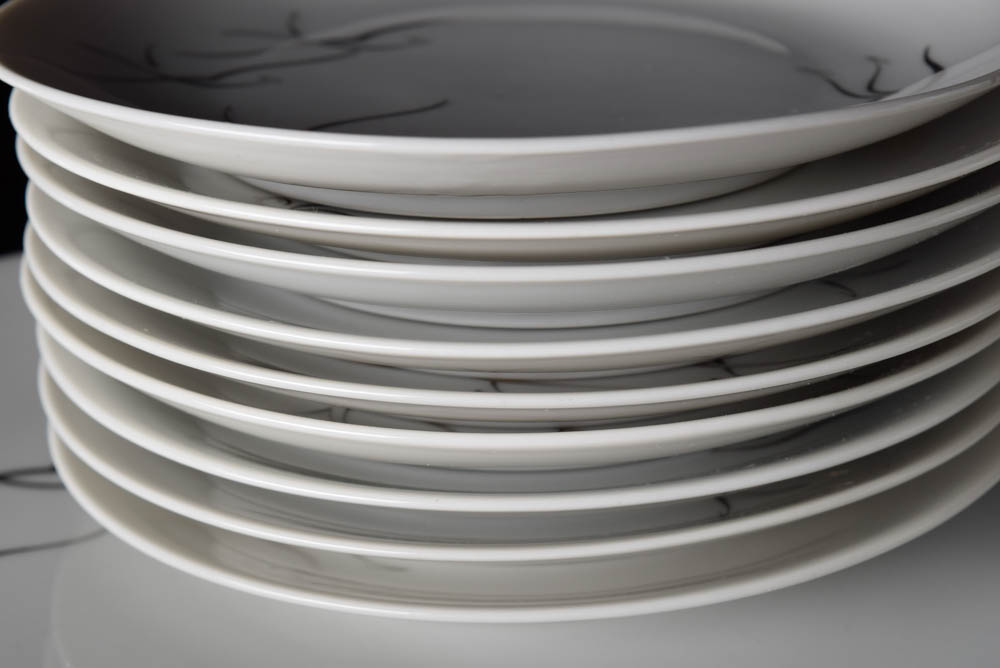 Set of Hand Painted Silver Slight Arzberg China