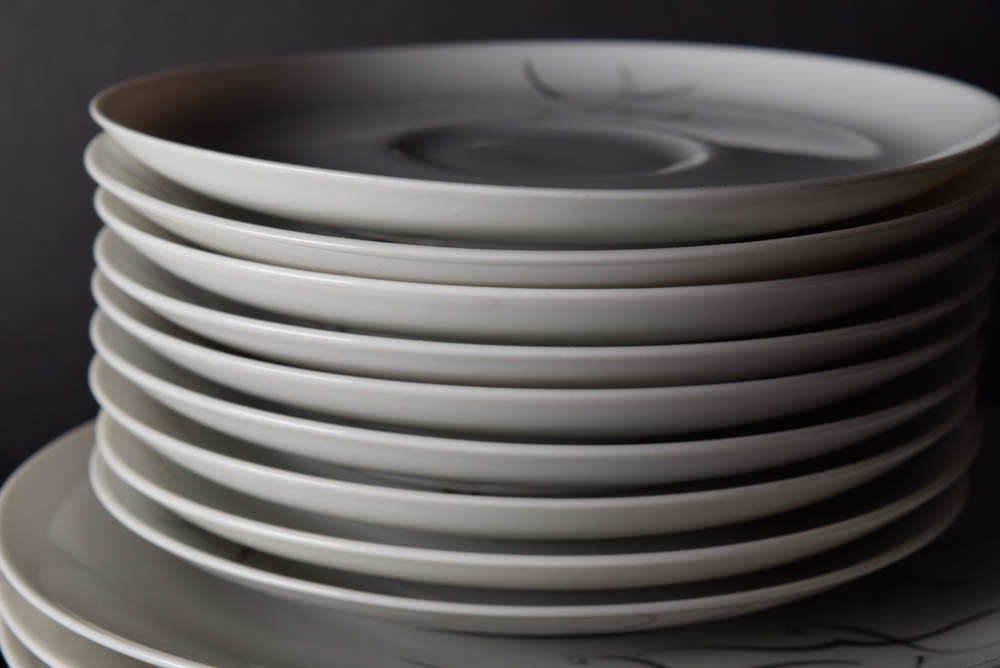 Set of Hand Painted Silver Slight Arzberg China