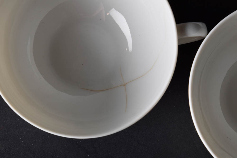 Set of Hand Painted Silver Slight Arzberg China