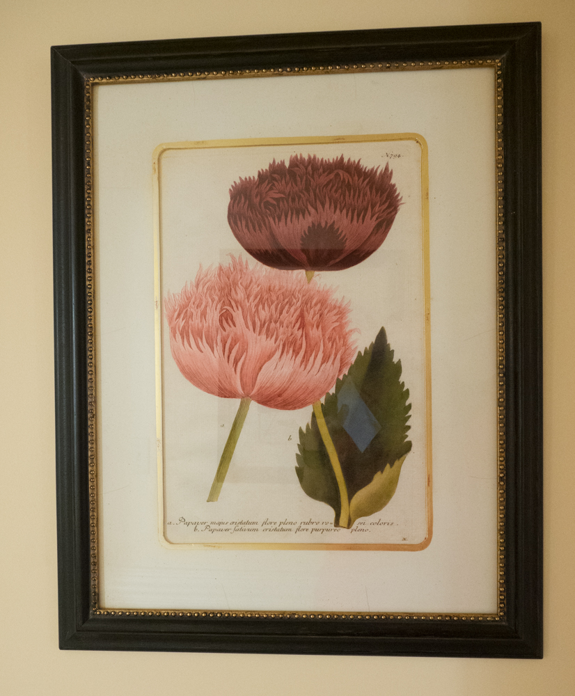 Pair of Soicher-Marin Floral Prints