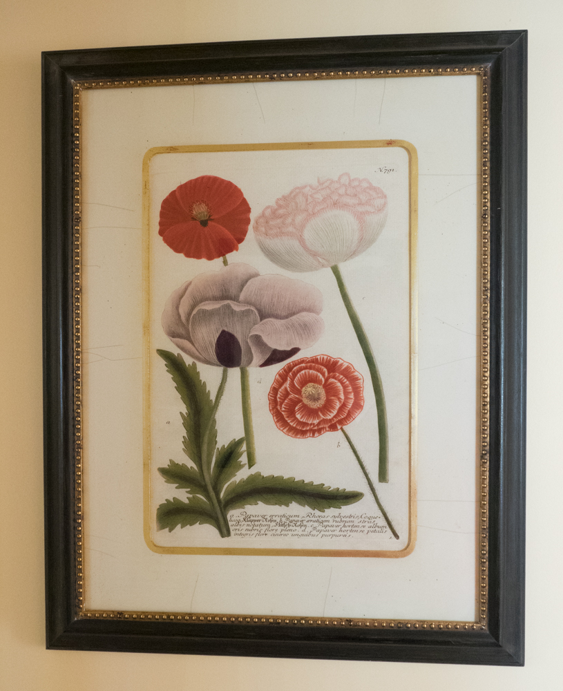 Pair of Soicher-Marin Floral Prints