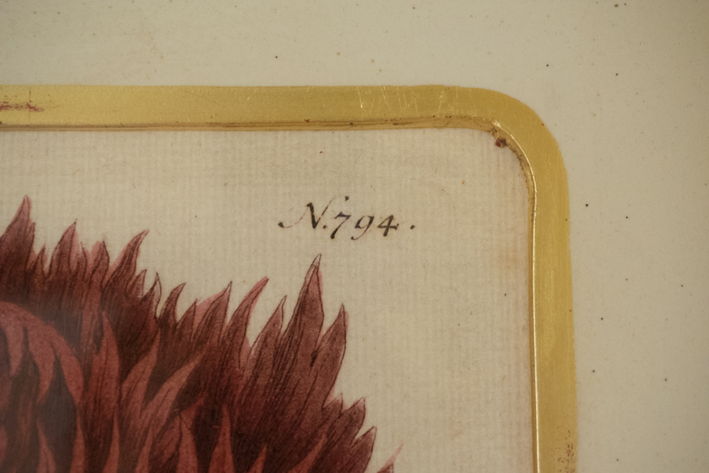 Pair of Soicher-Marin Floral Prints