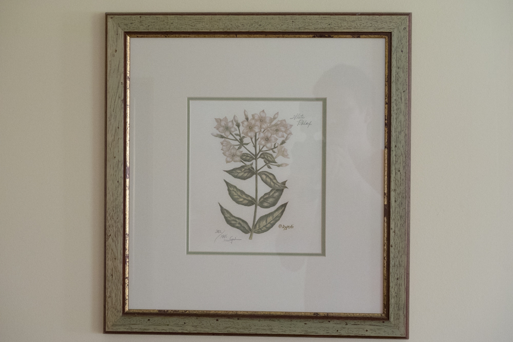 Pair of Signed Offset Lithograph Floral Prints