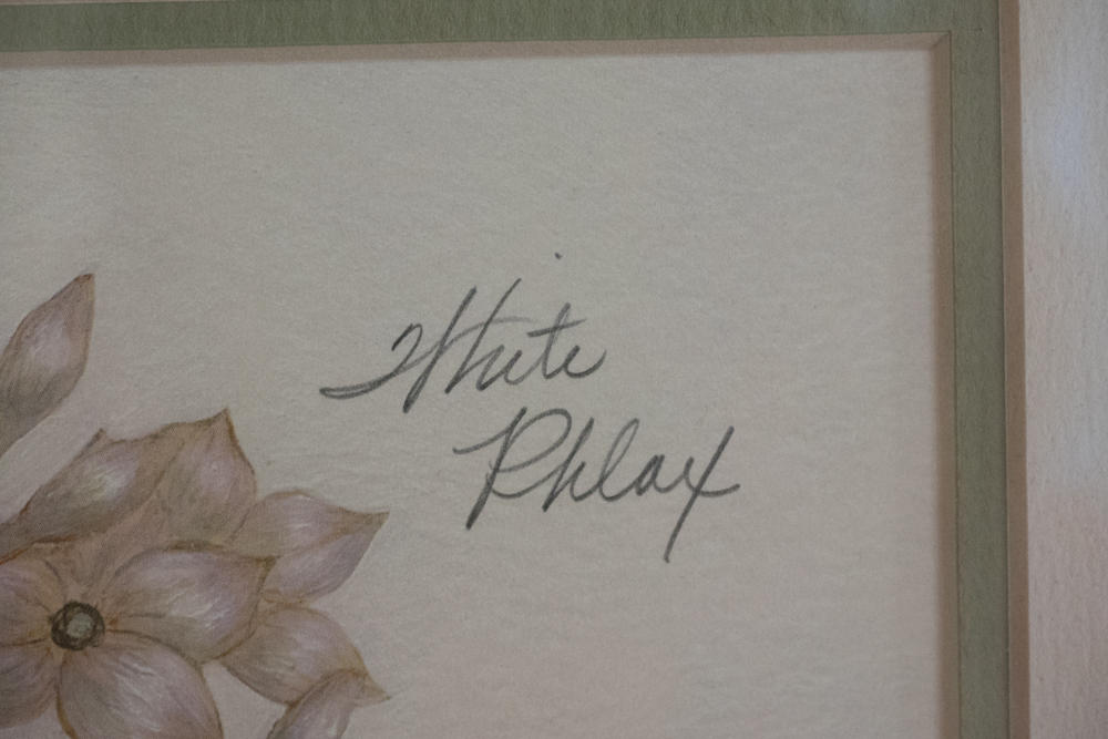 Pair of Signed Offset Lithograph Floral Prints