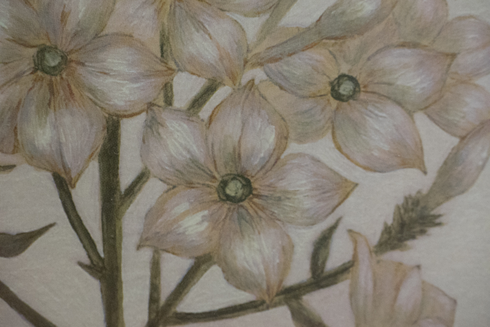 Pair of Signed Offset Lithograph Floral Prints