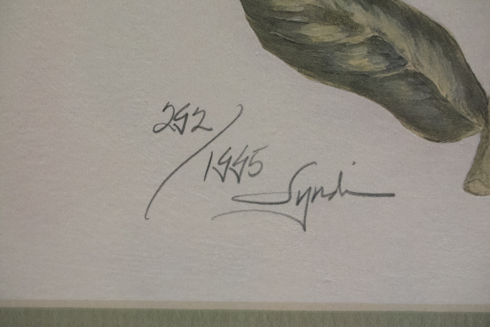 Pair of Signed Offset Lithograph Floral Prints