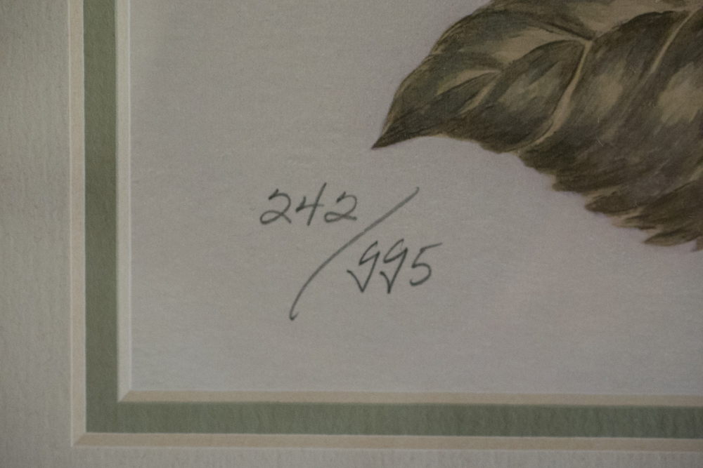 Pair of Signed Offset Lithograph Floral Prints