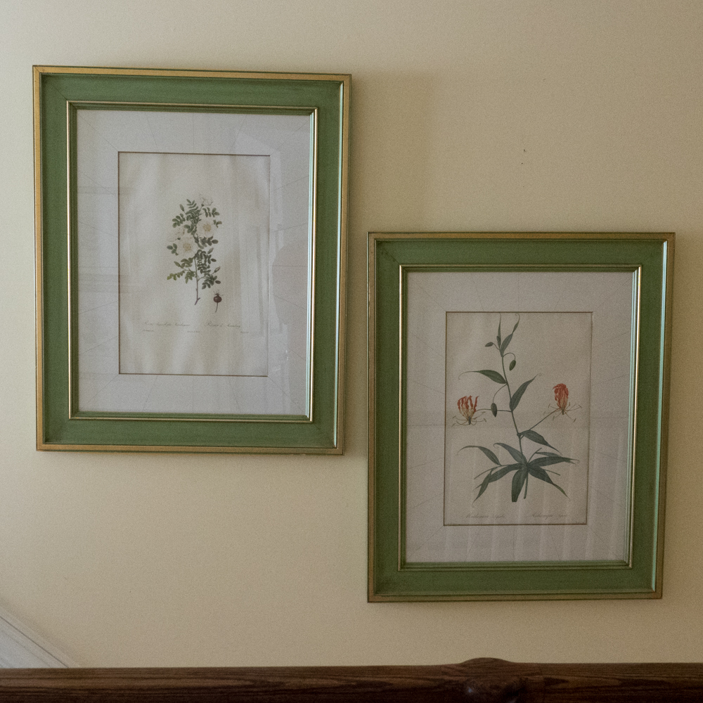 Pair of Floral Photo Offset Lithographs