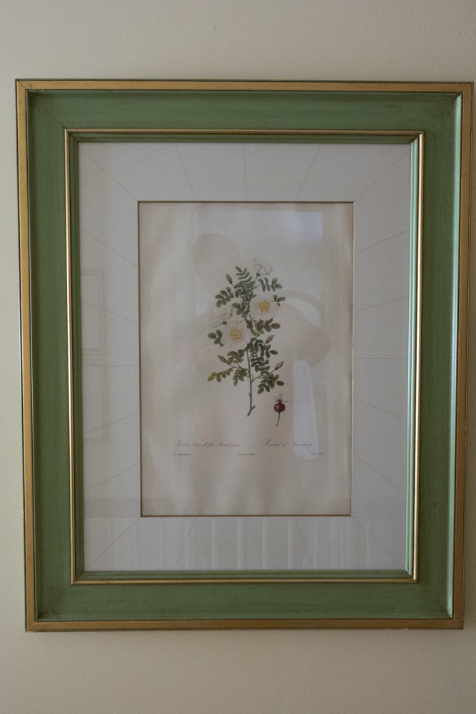 Pair of Floral Photo Offset Lithographs