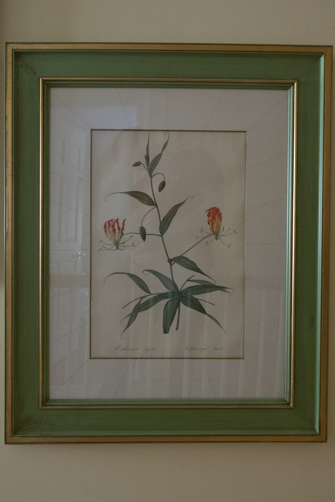 Pair of Floral Photo Offset Lithographs