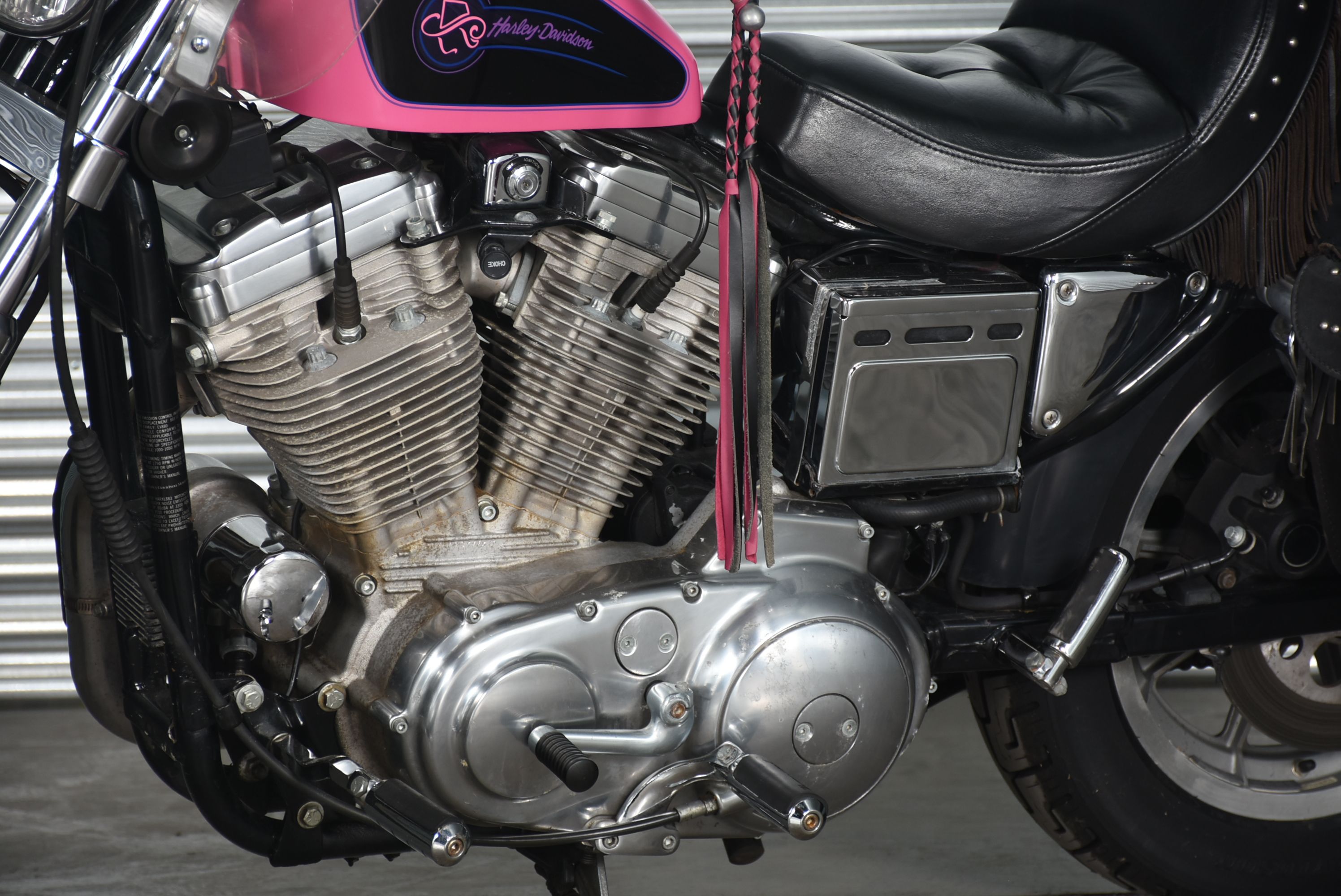 1992 Harley-Davidson "Screamin' Eagle" Xl883 Hugger with Custom Paint and Accessories