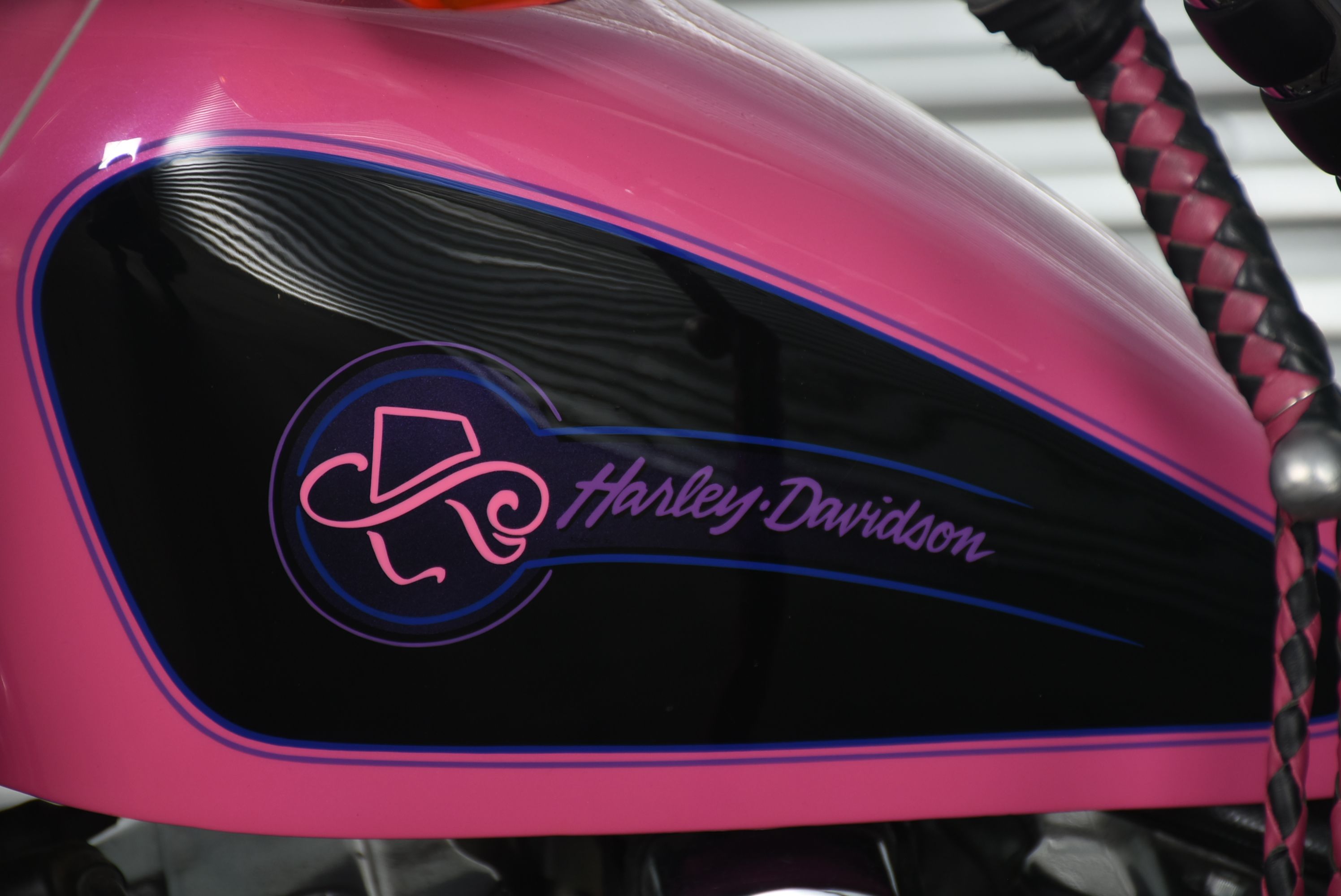 1992 Harley-Davidson "Screamin' Eagle" Xl883 Hugger with Custom Paint and Accessories