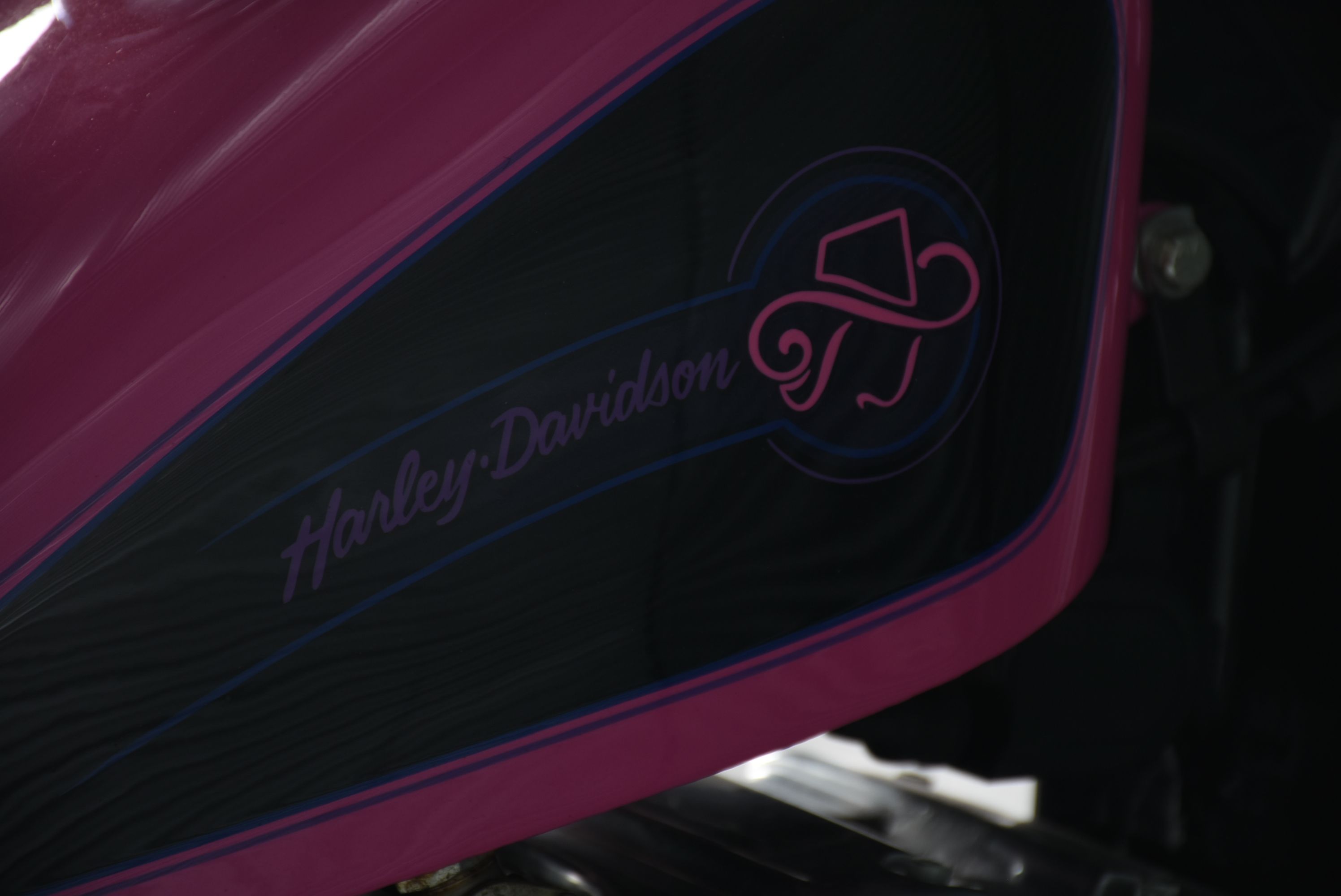 1992 Harley-Davidson "Screamin' Eagle" Xl883 Hugger with Custom Paint and Accessories