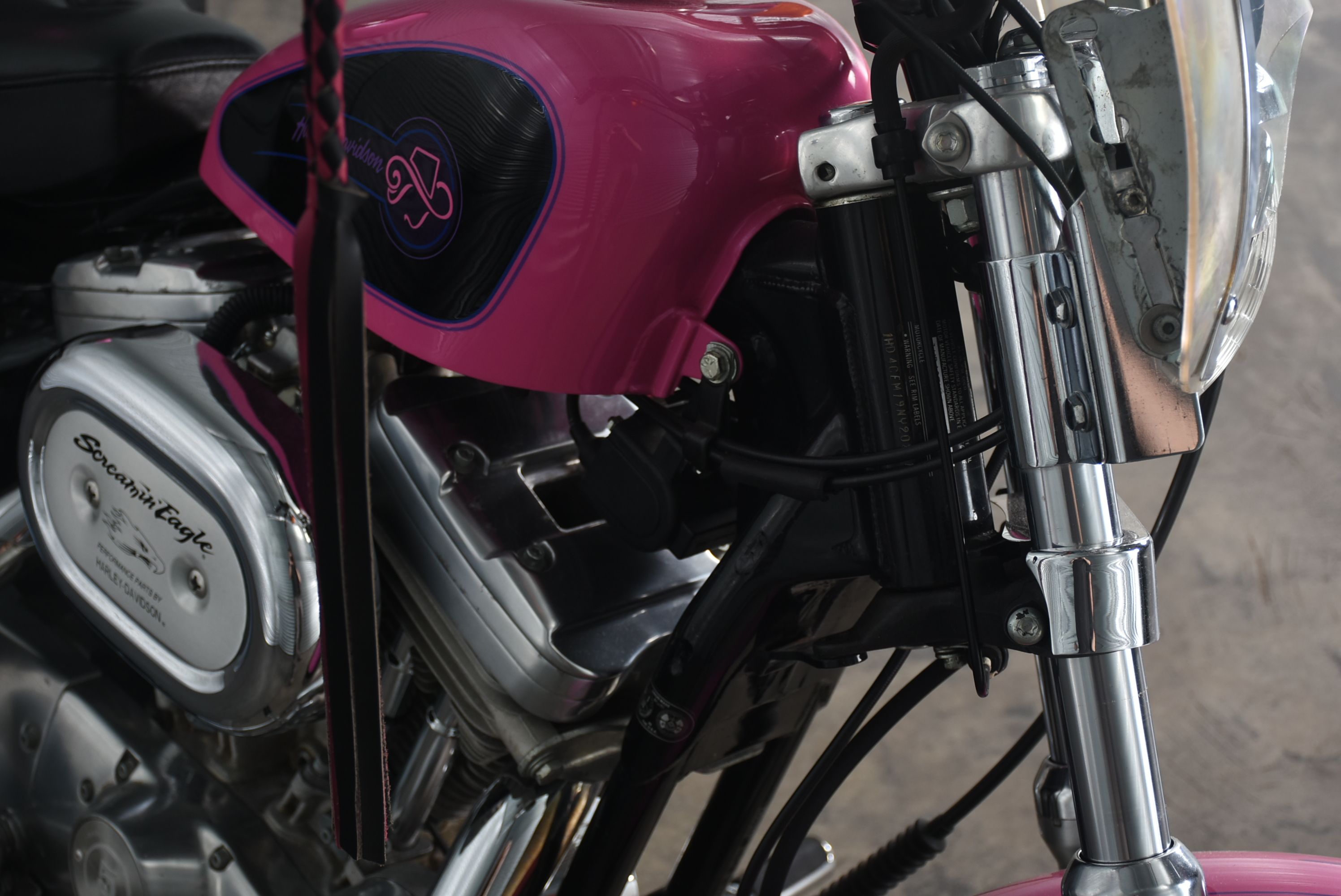 1992 Harley-Davidson "Screamin' Eagle" Xl883 Hugger with Custom Paint and Accessories