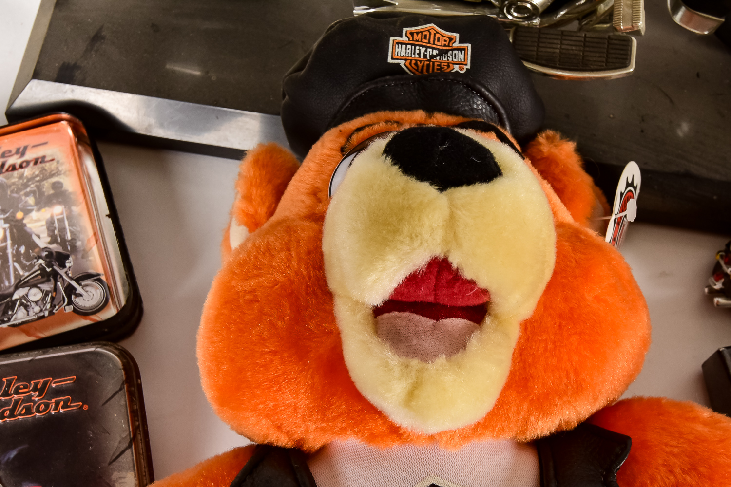 Harley Davidson Motorcycle Enthusiast Collection