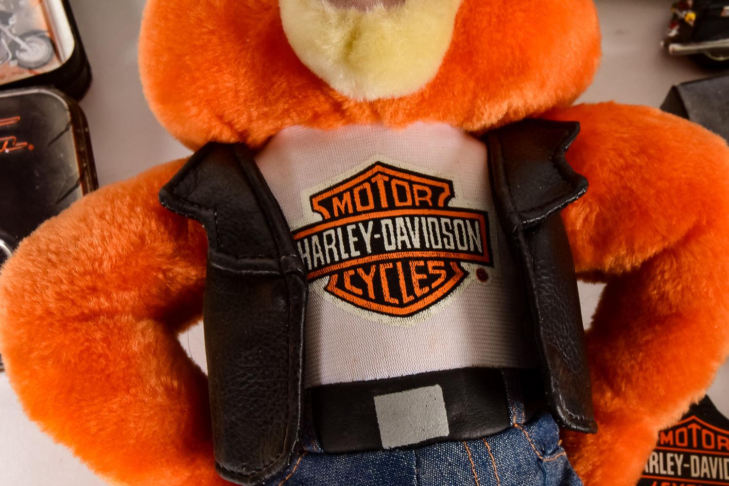 Harley Davidson Motorcycle Enthusiast Collection