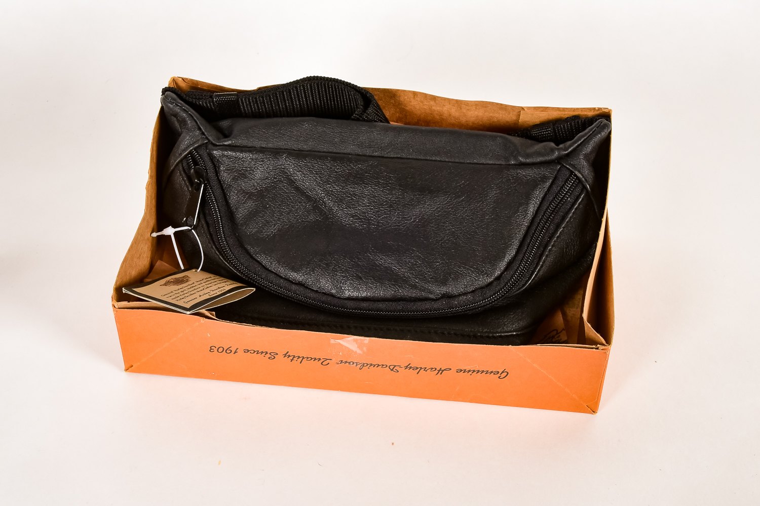 Harley Davidson Motorcycle Enthusiast Collection