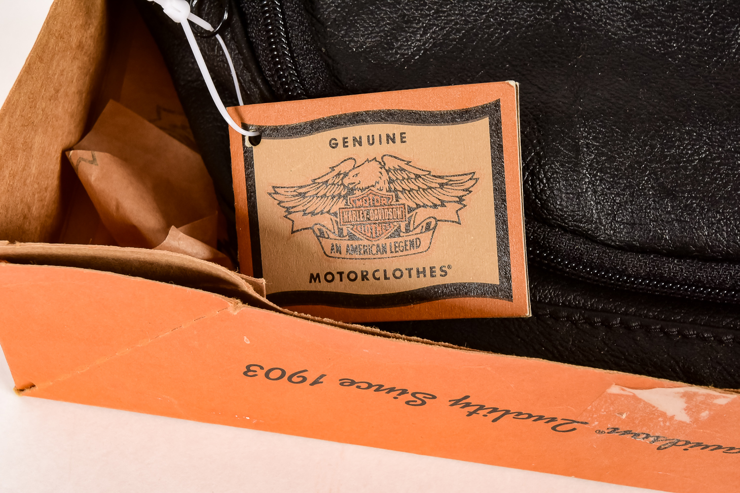 Harley Davidson Motorcycle Enthusiast Collection