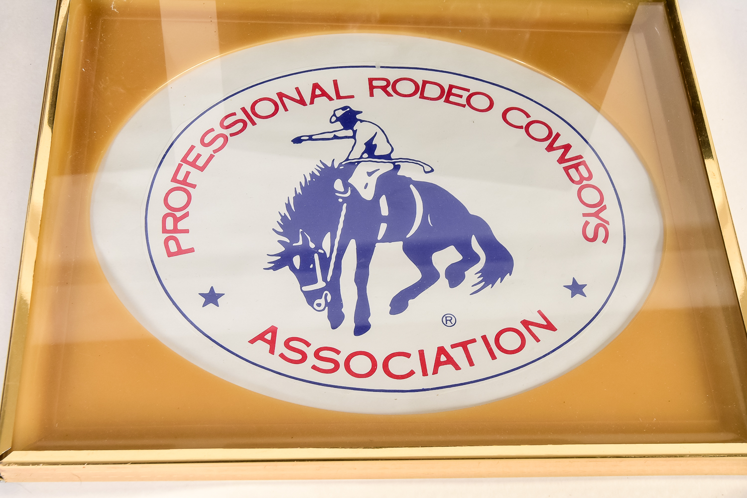 Horse and Rodeo Collection