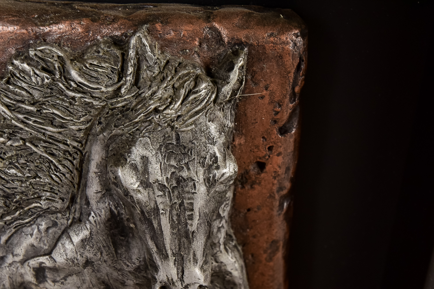 Horse and Rodeo Collection