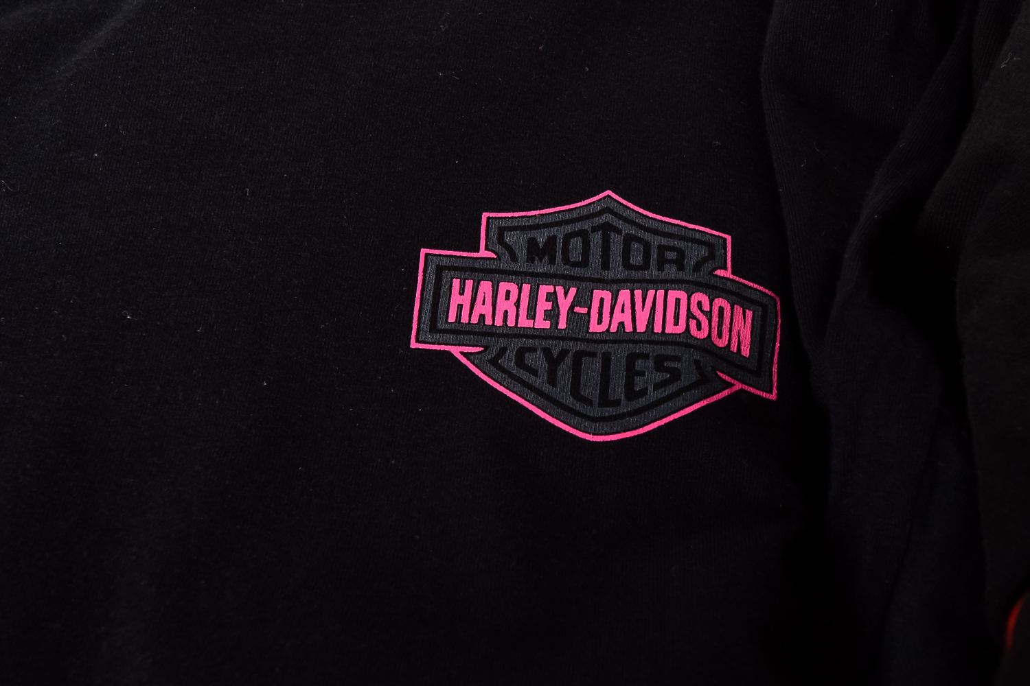Harley Davidson Clothing Assortment