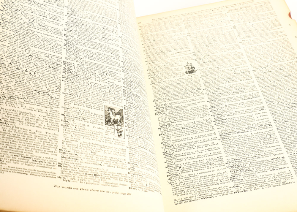 1941 Funk and Wagnalls' New Standard Dictionary