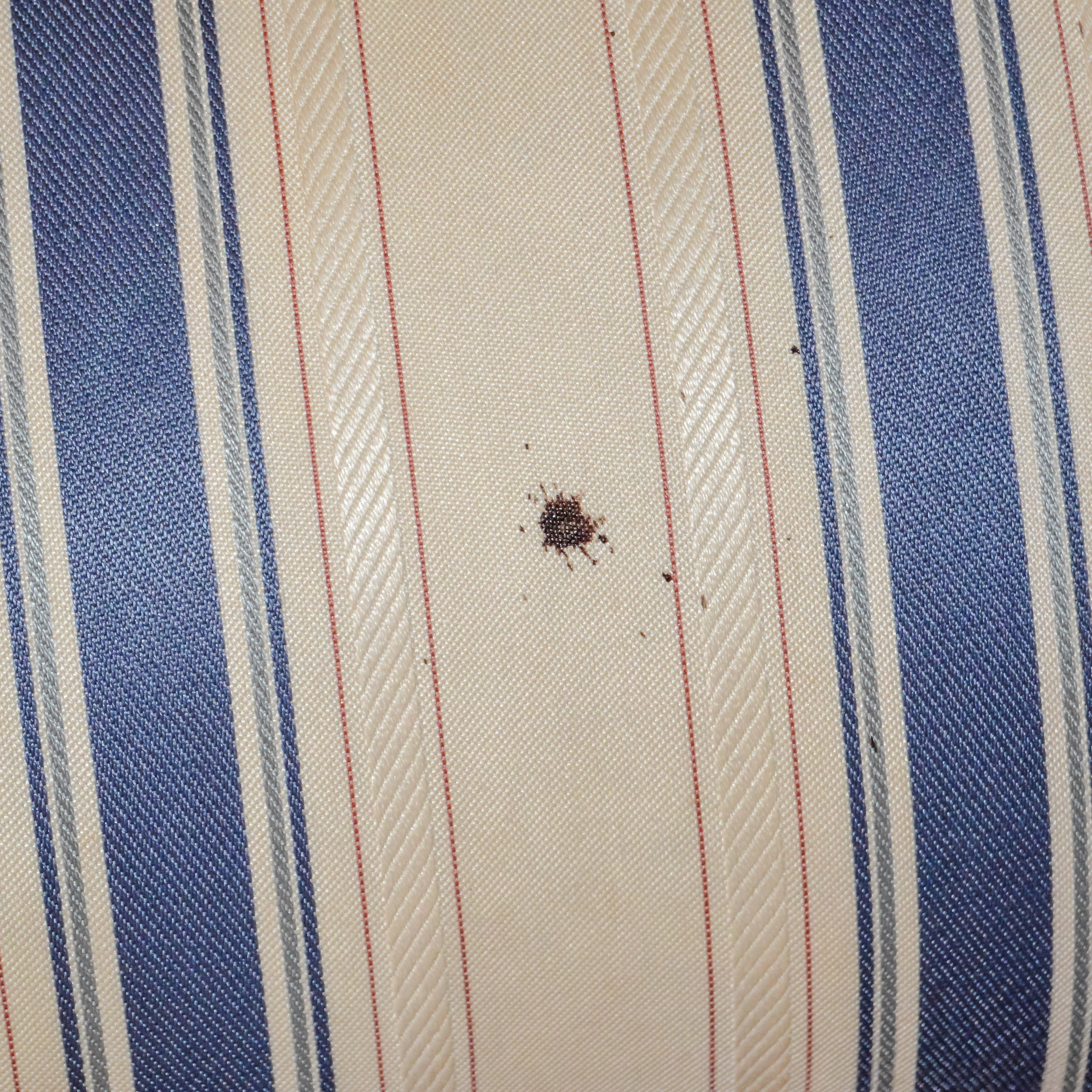 Antique Eastlake Settee in Cream and Blue Stripes