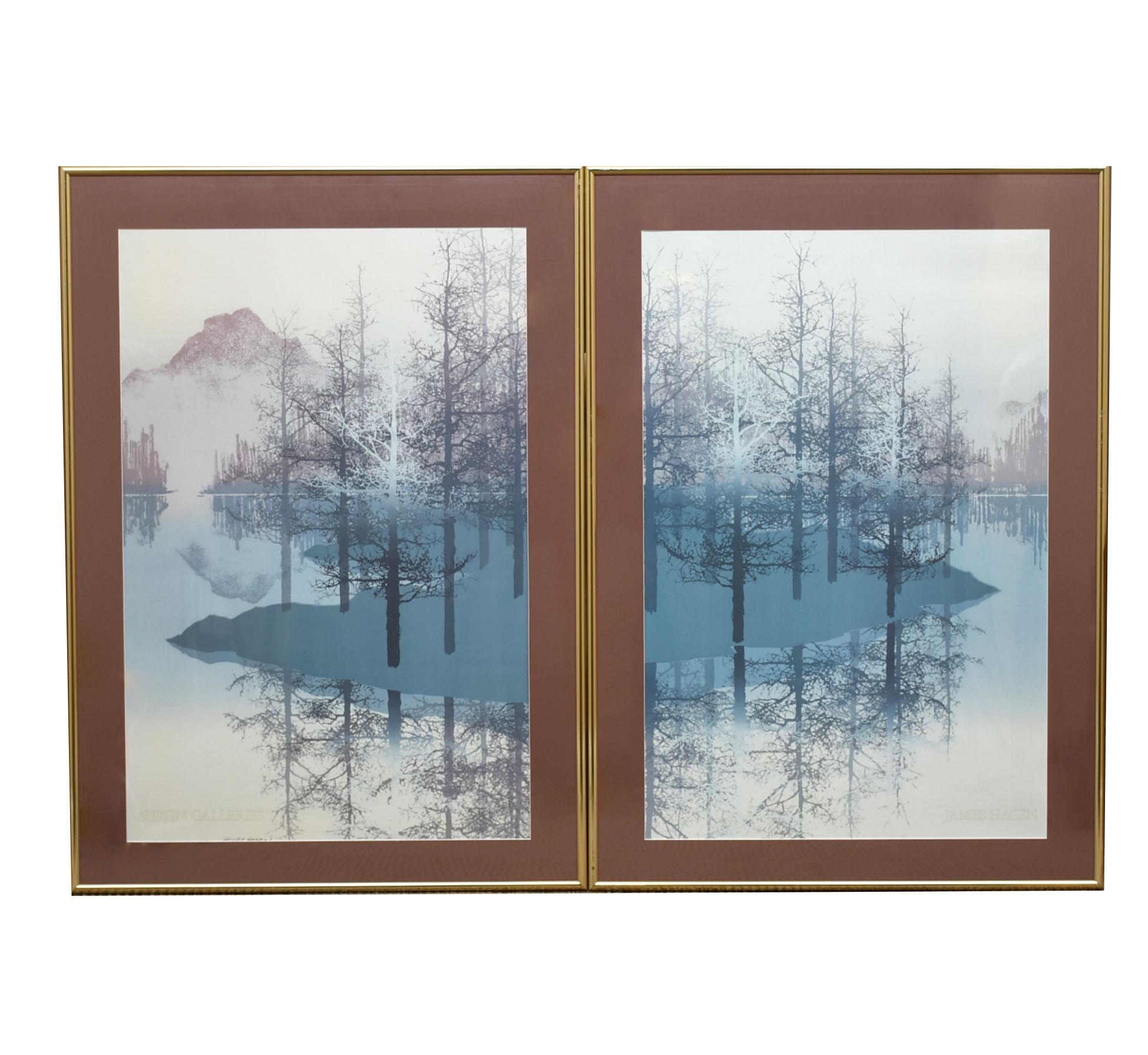 James Hagen Diptych "Patterns I" and "Patterns II"