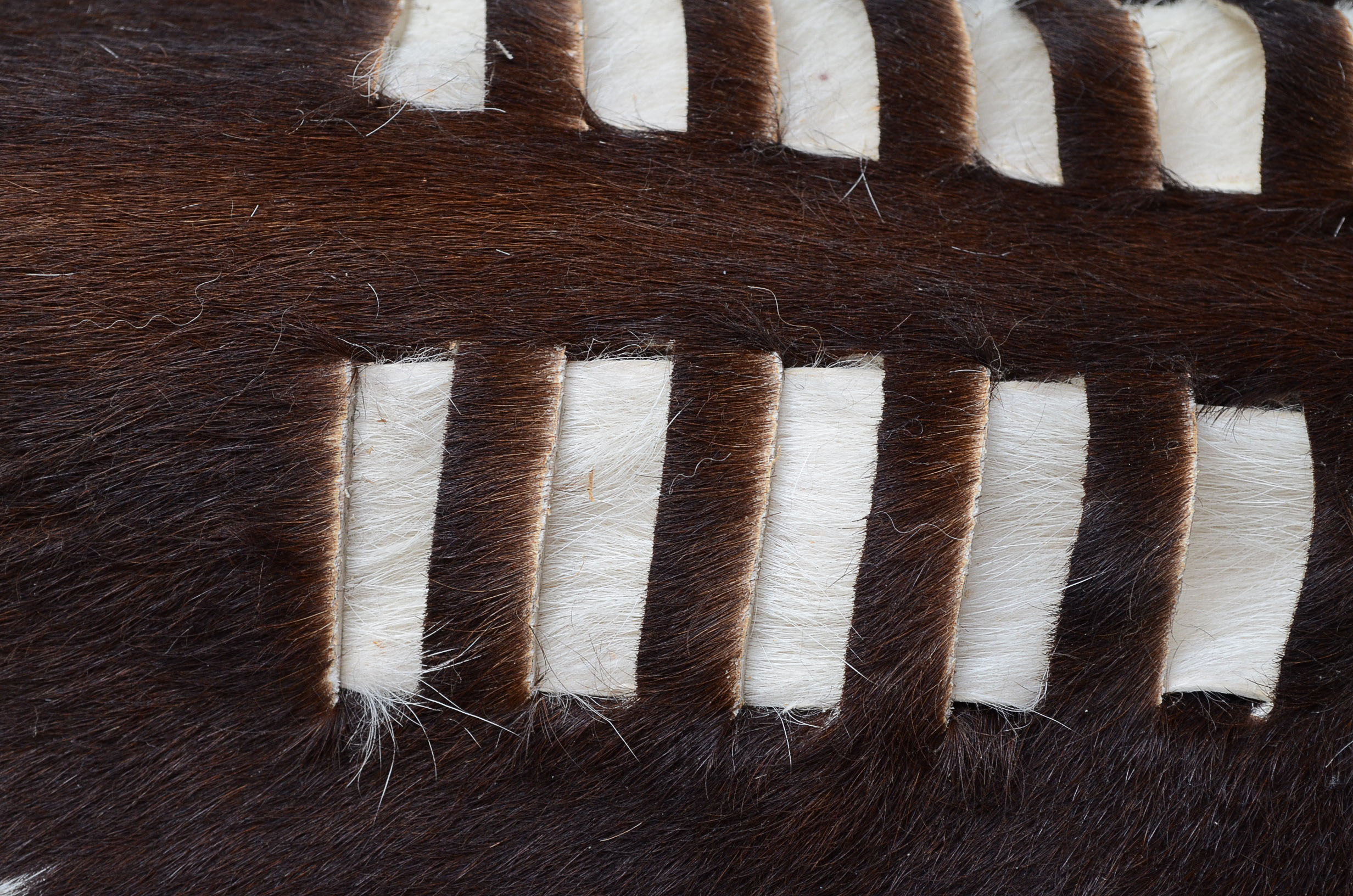 Zulu Shield and Weapons Crest